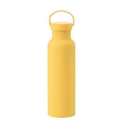 Bouteille à vide jetable en acier inoxydable Coupe isolée sportive de couleur solide avec poignée