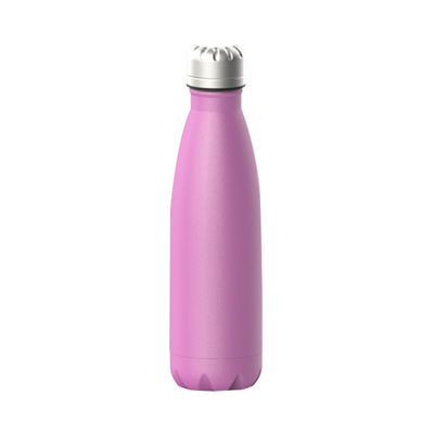Tubo à double paroi en acier inoxydable 500ml Logo personnalisé Acceptable Design moderne
