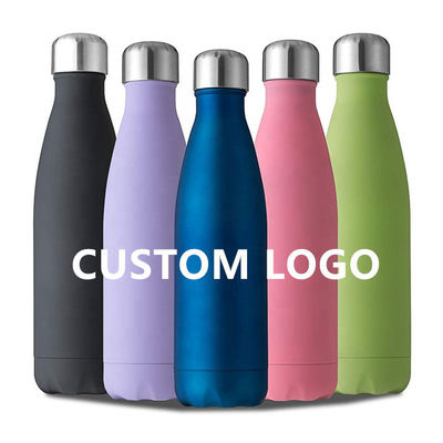 Tubo à double paroi en acier inoxydable 500ml Logo personnalisé Acceptable Design moderne