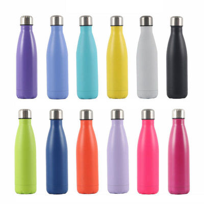 Tubo à double paroi en acier inoxydable 500ml Logo personnalisé Acceptable Design moderne