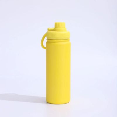 Bouteille d'eau en acier inoxydable de grande capacité pour activités extérieures portables
