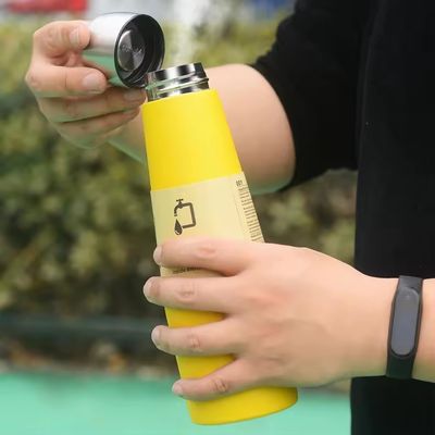 Bouteille d'eau sous vide en acier inoxydable 304