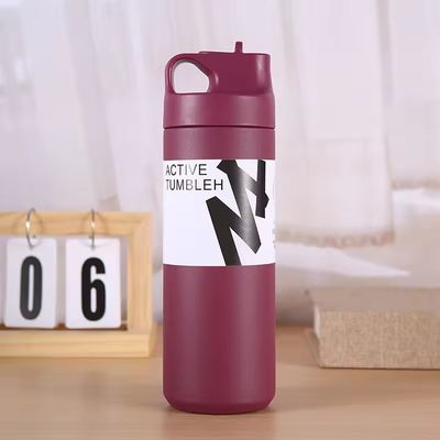 Flacon à vide isolé à double paroi durable de 550 ml pour l'eau de thé et le café