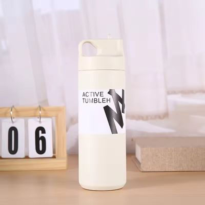 Flacon à vide isolé à double paroi durable de 550 ml pour l'eau de thé et le café