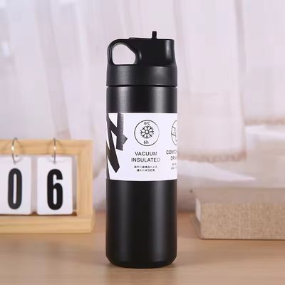 Flacon à vide isolé à double paroi durable de 550 ml pour l'eau de thé et le café