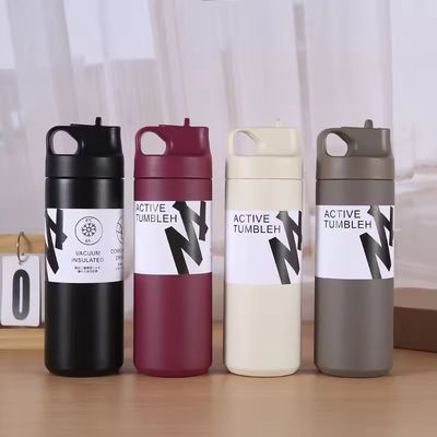 Flacon à vide isolé à double paroi durable de 550 ml pour l'eau de thé et le café
