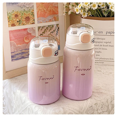 Étudiant Portable 350/450 ml en acier inoxydable avec paille et isolation thermique