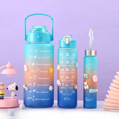 Logo personnalisé 3 en 1 ensemble Bouteille 250g 120g 63g Style Tomatodos Bouteille d'eau en plastique