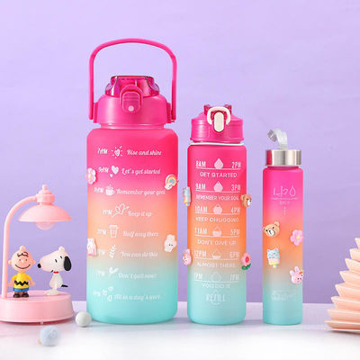 Logo personnalisé 3 en 1 ensemble Bouteille 250g 120g 63g Style Tomatodos Bouteille d'eau en plastique