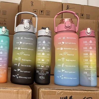 Logo personnalisé 3 en 1 ensemble Bouteille 250g 120g 63g Style Tomatodos Bouteille d'eau en plastique