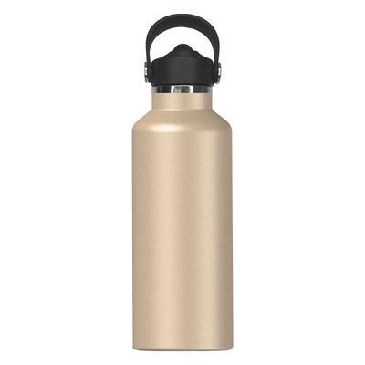 Bouteille d'eau isolée en acier inoxydable de 650 ml Design moderne pour les enfants actifs et en plein air