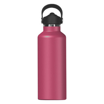 Bouteille d'eau isolée en acier inoxydable portable de 650 ml pour le sport