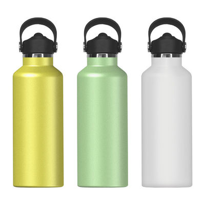 Bouteille d'eau isolée en acier inoxydable portable de 650 ml pour le sport