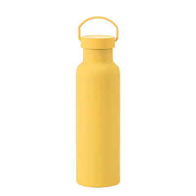 OEM Acceptable Bouteille d'eau isolée sous vide Bouteille d'acier personnalisée pour la randonnée en plein air
